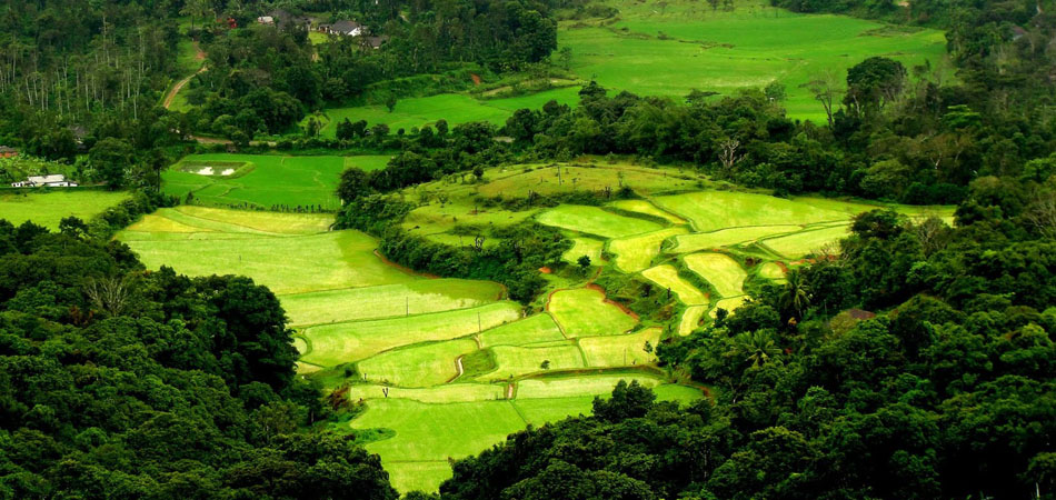 Misty Coorg 