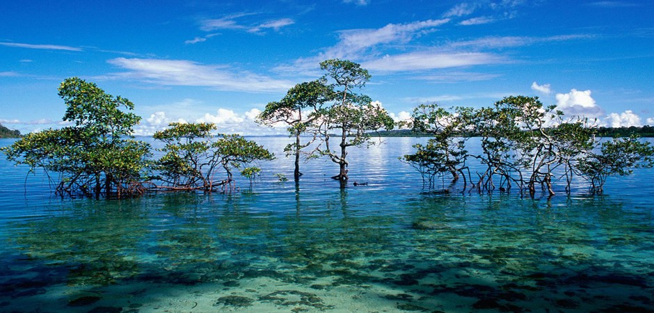 Andaman & Nicobar Islands 